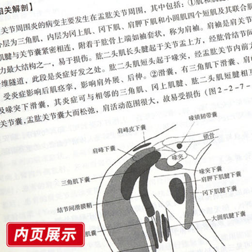 埋线针刀治疗学 穴位埋线系列丛书 杨才德 高敬辉 刘文韬 主编 中国中医药出版社 书籍 商品图5