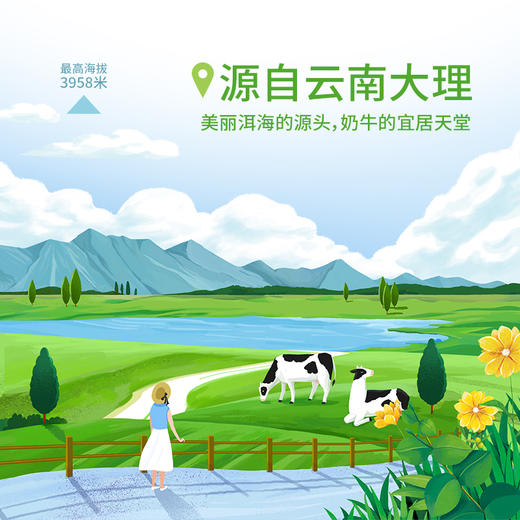 新希望雪兰高原有机纯牛奶4.0 商品图1