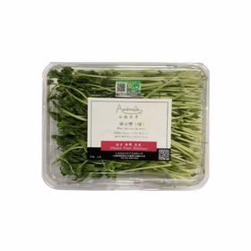有机豌豆苗  Organic Pea Sprouts