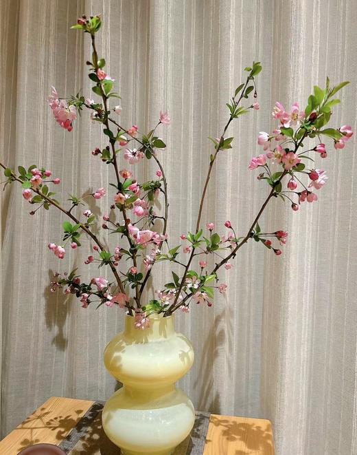 【春天气息】垂丝海棠花（粉色）约3枝/多分叉 约1米 商品图0