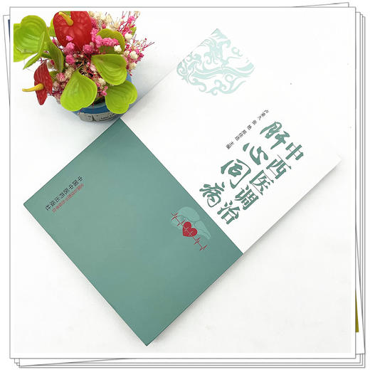 中西医调治肝心同病  卢秉久 张艳 郑佳连 主编 中国中医药出版社 书籍 商品图2