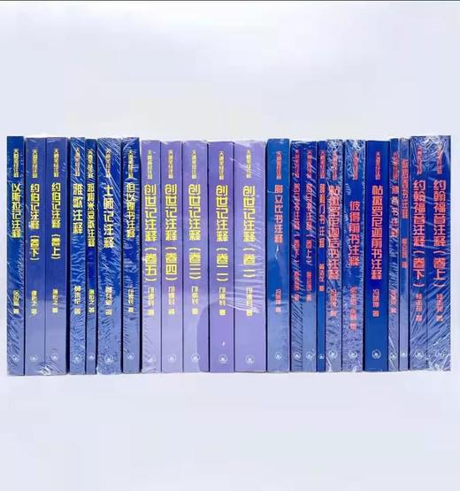 【85折】天道SJ注释系列全17卷共25本，首部华人自己写的圣经注释书 商品图1
