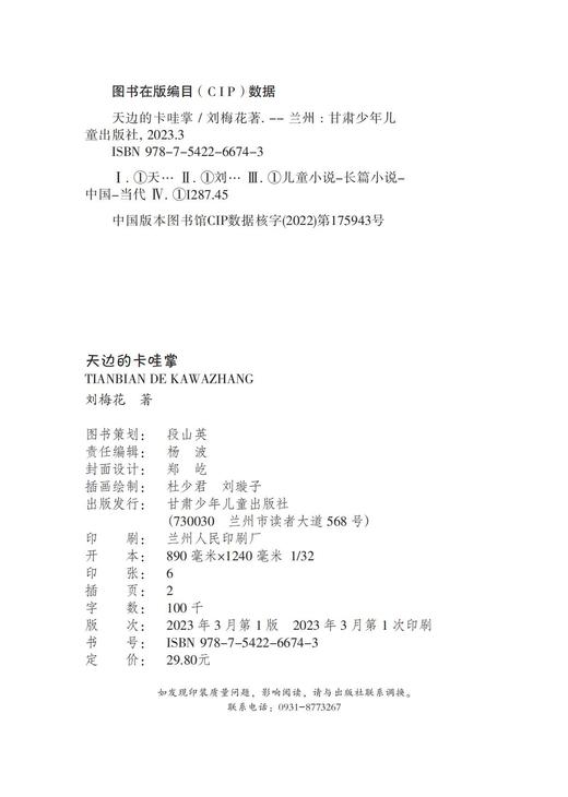 天边的卡哇掌  书写孩子们在充满希望的田野上的新生活、新奋斗 商品图2