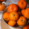 生态南瓜橘 | 合作生产 *Ecological Pumpkin Orange | Coproduction 商品缩略图3