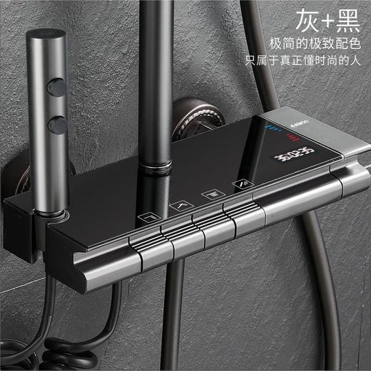 7293布拉格数显温控-枪灰【航天铝材】 商品图3