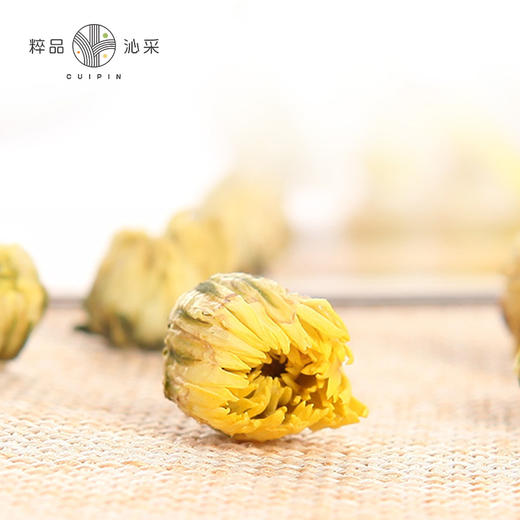 粹品沁采桐乡胎菊80g菊花 商品图3