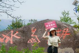 【2019年冰岛老寨】温润如玉，锋芒内藏