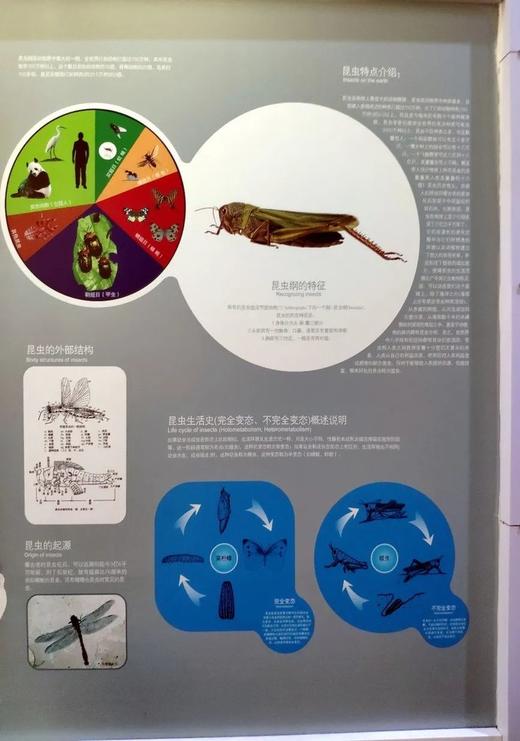 探索国家动物博物馆 商品图6