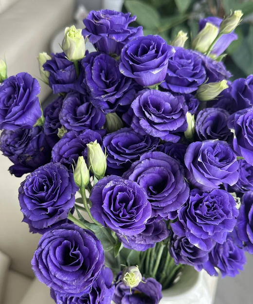 【洋桔梗】--深紫 若干枝/扎 商品图2