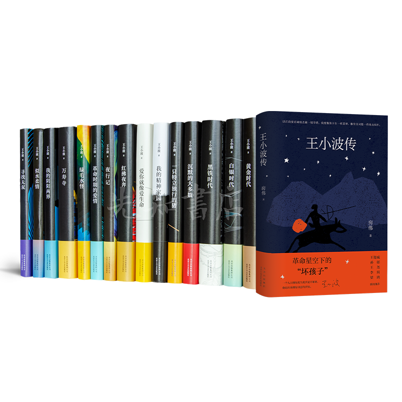 中文小说 中国語小説 まとめ売り 11冊 中文小说 中国語小説 まとめ売り 11冊