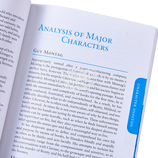 预售 【中商原版】Sparknotes 文学指南 华氏 451 度 Fahrenheit 451 英文原版 Ray D Bradbury 论文 商品图3