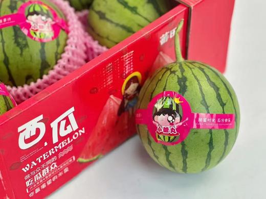 蕃田小糖丸西瓜（6枚/箱） 商品图6