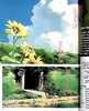 【中商原版】漫画 龙猫4 My Neighbor Totoro Film Comic,Vol.4 英文原版 商品缩略图4