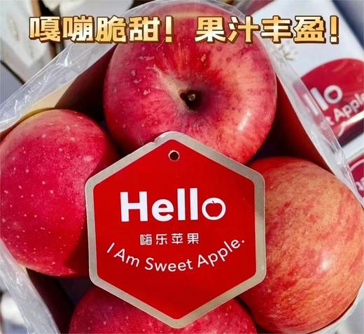 农夫嗨乐苹果 |水果 商品图5