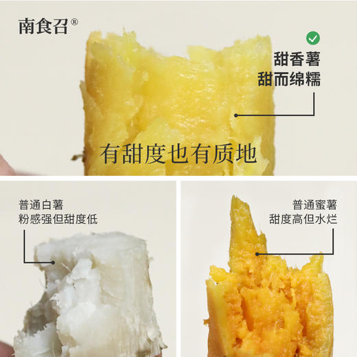 【时令最后一批】南食召 甜香番薯 商品图2