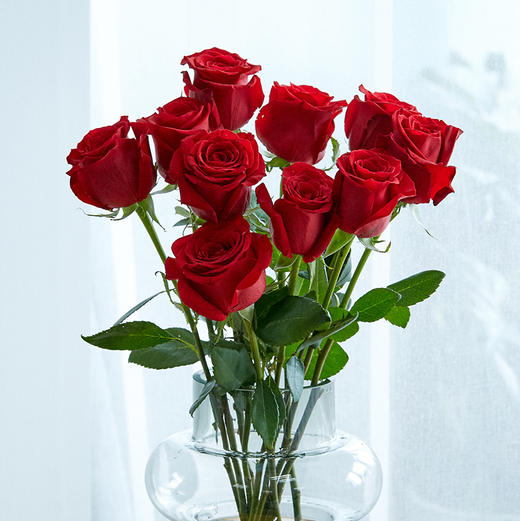 单头玫瑰随机色5枝 商品图6