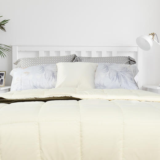 寐MINE 暖馨纤柔羊毛春秋被
1020264860 商品图1