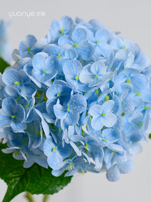 绣球花保湿逼真手感仿真花客厅餐桌茶几装饰高端大朵假花束摆设件 商品图4