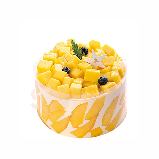 【100%动物奶油】多肉芒芒 商品图0
