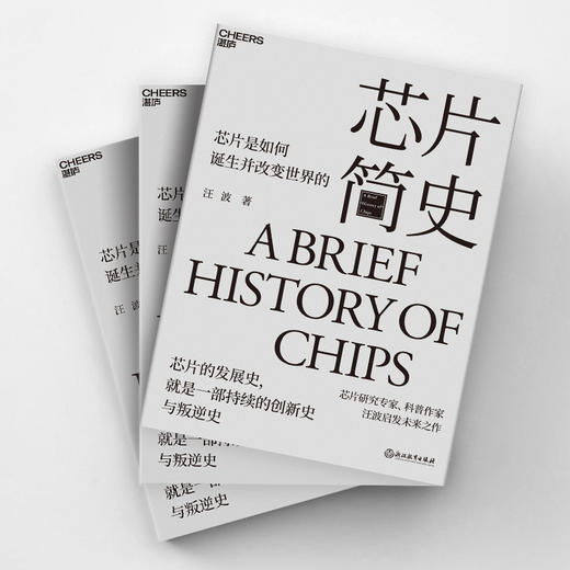 芯片简史 商品图3