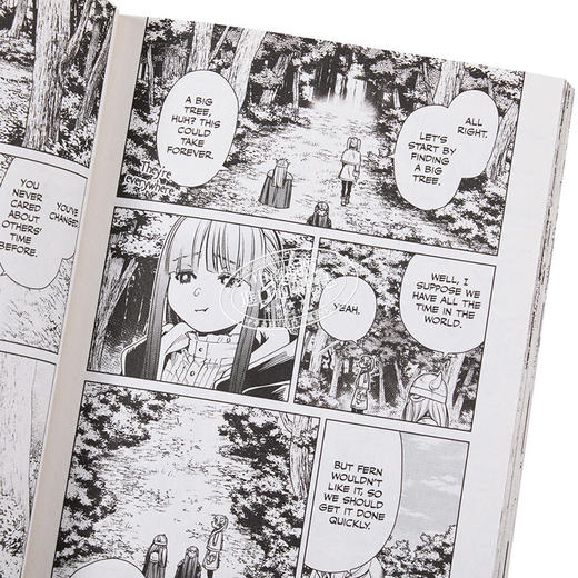 【中商原版】漫画 葬送的芙莉莲 1 Frieren: Beyond Journey's End, Vol. 1 英文原版 Yamada, Kanehito 商品图3