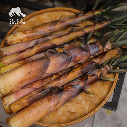 野生鲜笋  | 合作生产*Wild  Bamboo shoot | Coproduction 商品图5