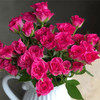 多头玫瑰随机色5枝 商品缩略图2