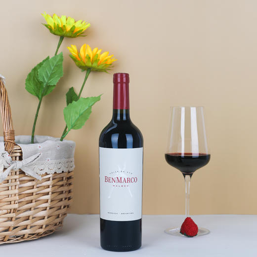 苏珊巴博酒庄本玛科马尔贝克红葡萄酒 2020 Ben Marco Malbec 阿根廷 商品图1