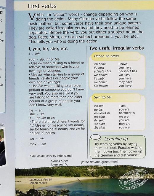 【中商原版】德语如此简单 少儿语言学习 Easy German 德文原版 Nicole Irving 德英双语 单词 词汇 商品图4