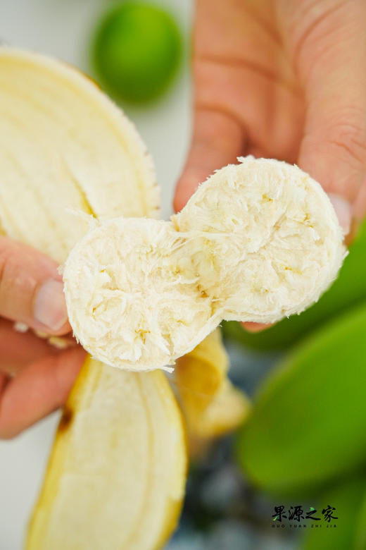 苹果蕉特价！绝代双蕉【原生态苹果蕉/红美人香蕉】小胖蕉外形短胖 表皮薄 肉滑香嫩 吃起来清新又自然！~ 商品图8
