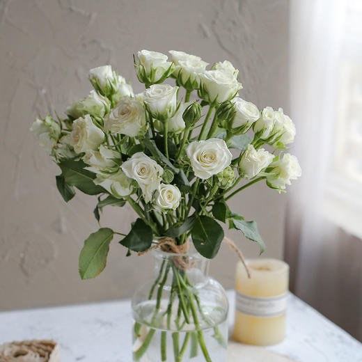 多头玫瑰随机色5枝 商品图1