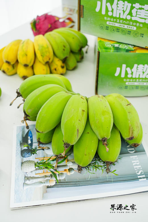 苹果蕉特价！绝代双蕉【原生态苹果蕉/红美人香蕉】小胖蕉外形短胖 表皮薄 肉滑香嫩 吃起来清新又自然！~ 商品图4