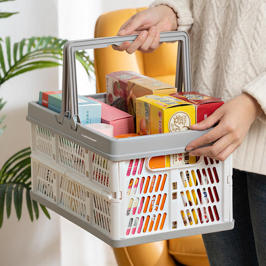 邓禄普车载折叠收纳篮DL-9003 商品图3