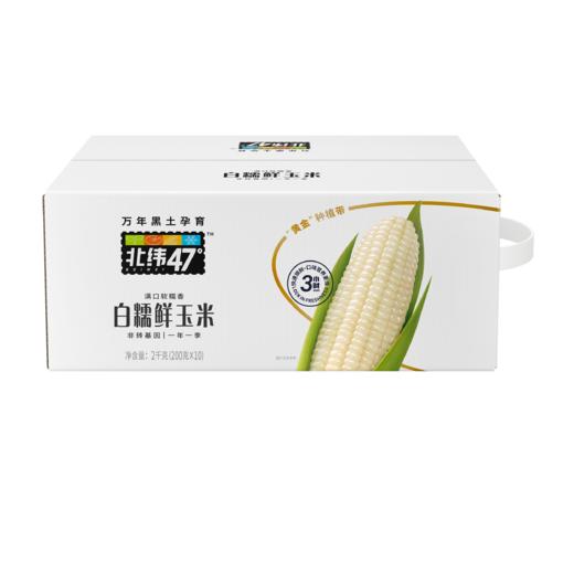 北纬47度 白糯鲜玉米200g*10穗/盒 商品图2
