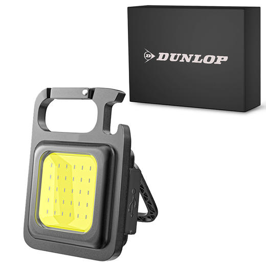 邓禄车载野营强光工作灯DL-5003 商品图0