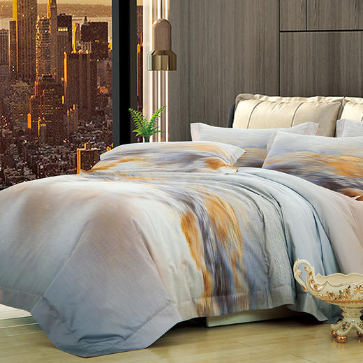 鑫缘 全棉数码印花四件套 DMH7418 商品图6