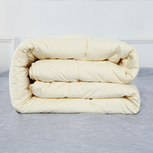 寐MINE 暖馨纤柔羊毛春秋被
1020264860 商品图2