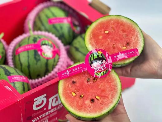 蕃田小糖丸西瓜（6枚/箱） 商品图5
