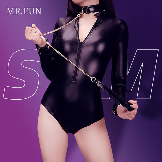 MR.FUN sm情趣道具调情9件套 商品图1