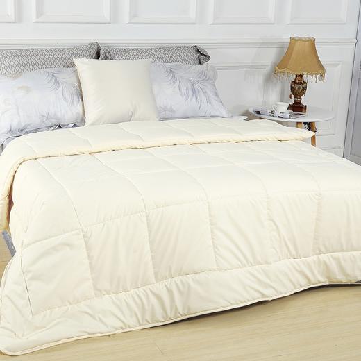 寐MINE 暖馨纤柔羊毛春秋被
1020264860 商品图0