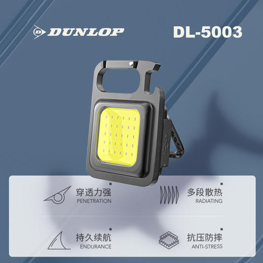 邓禄车载野营强光工作灯DL-5003 商品图1