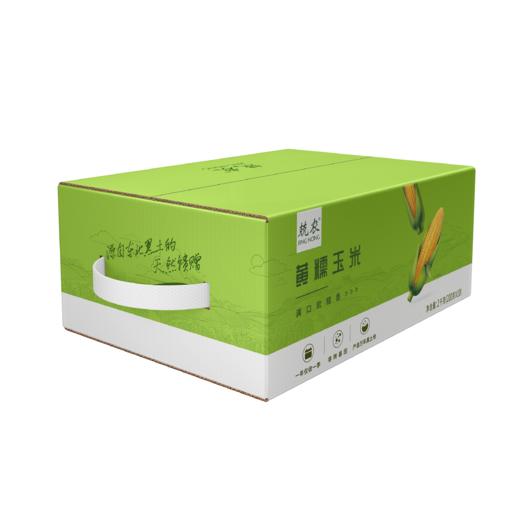 兢农黄糯玉米200g*10 穗/盒 商品图7