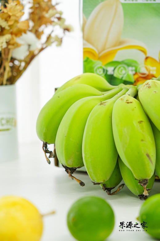 苹果蕉特价！绝代双蕉【原生态苹果蕉/红美人香蕉】小胖蕉外形短胖 表皮薄 肉滑香嫩 吃起来清新又自然！~ 商品图5
