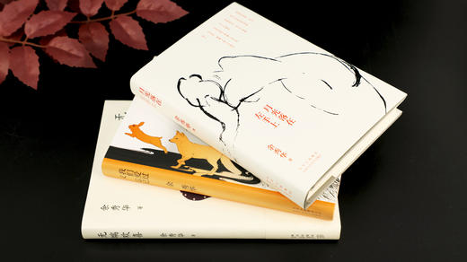 《余秀华作品》3册，（《月光落在左手上》《我们爱过又忘记》《无端欢喜》） 商品图4