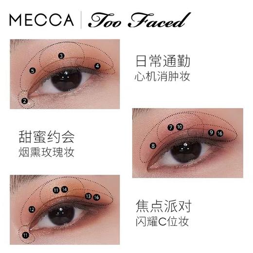 Too Faced 十六色粉棕眼影盘 商品图1