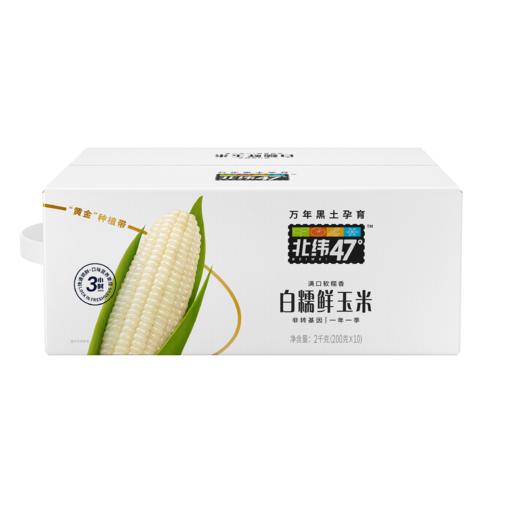北纬47度 白糯鲜玉米200g*10穗/盒 商品图6