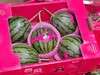 蕃田小糖丸西瓜（6枚/箱） 商品缩略图7