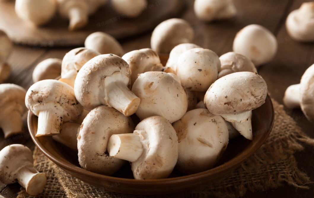 白蘑菇  300g（表面会氧化会变黑）