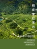 2026新茶积庆里英德红茶 • 金韵英红九号(150g) 商品缩略图5