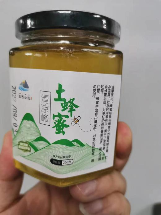 昌西公社清凉峰海拔800米野生土蜂蜜只采原生态蜂蜜 商品图5